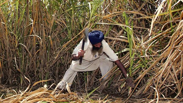 India must reform its agriculture policies to minimise the monsoon gamble