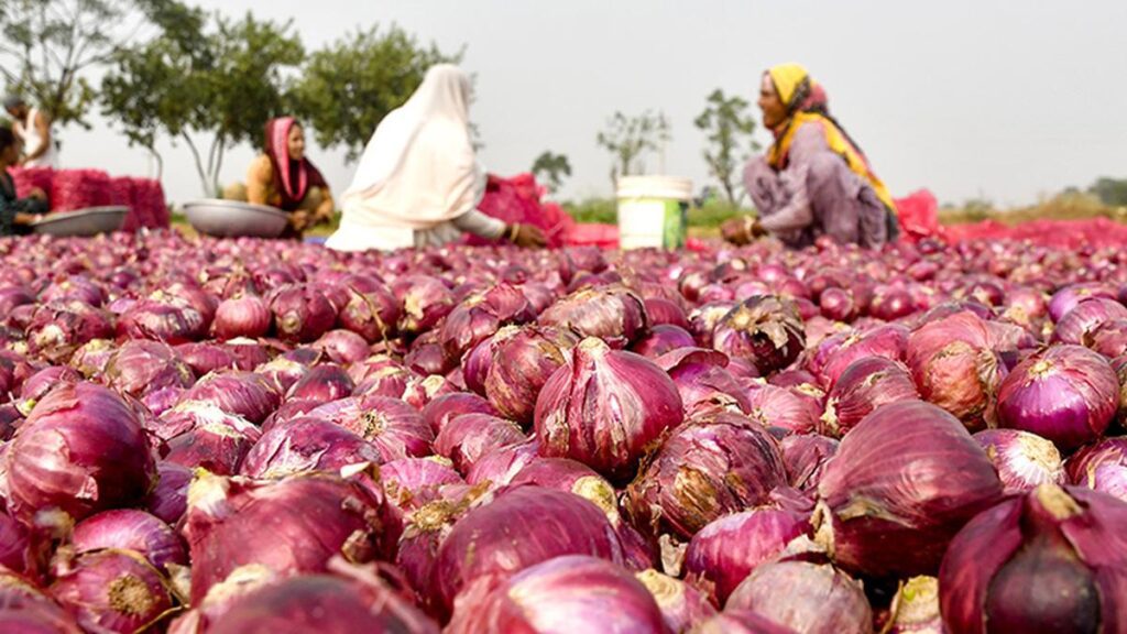 Govt extends ban on onion exports till further orders