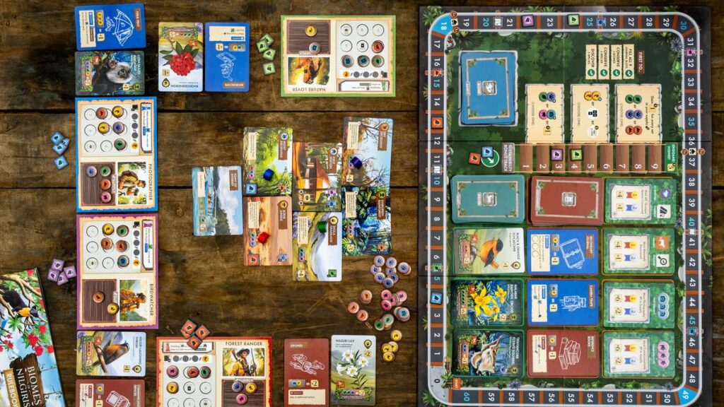 What wildlife-inspired board games teach us about conservation